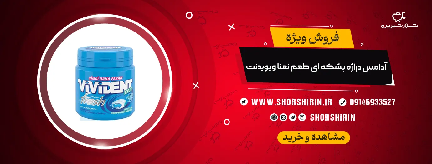 خرید آدامس دراژه بشکه ای طعم نعنا ویویدنت