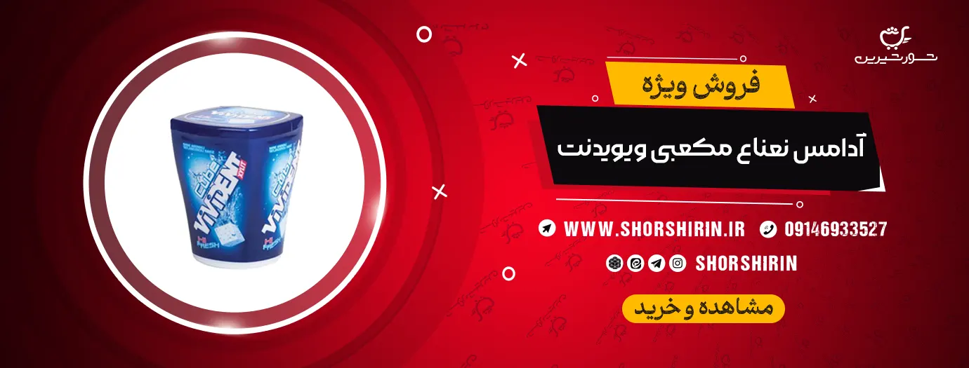 خرید آدامس نعناع مکعبی ویویدنت